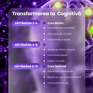 Complex Nootropic – Creier & Memorie