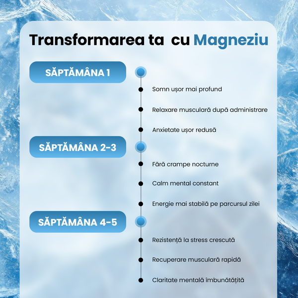 Magneziu Bisglicinat + B6